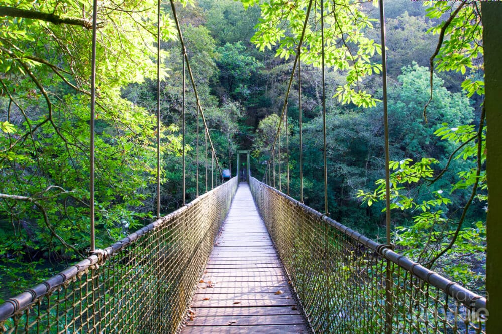 Parques naturales de Galicia: As Fragas do Eume