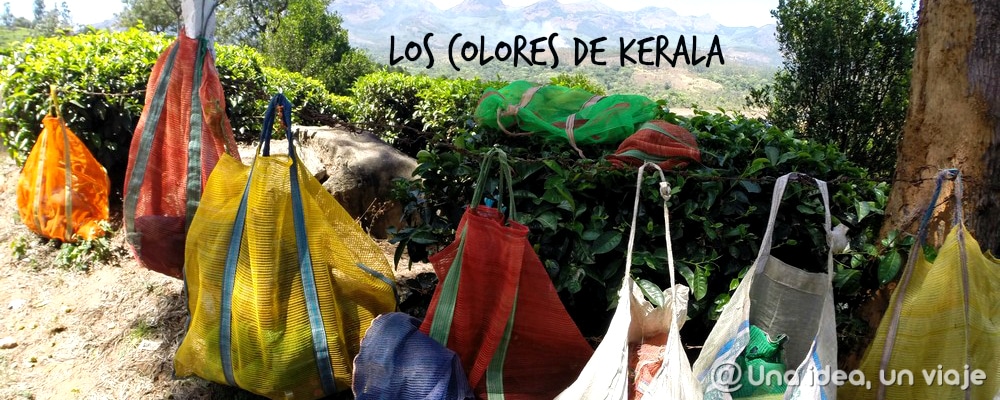 India: Los colores de Kerala en KeralaBlogExpress
