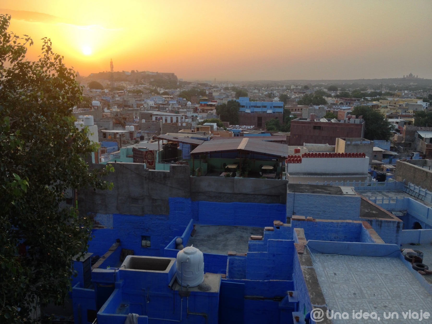 India: 15 días en Rajastan - Día 6: Jodhpur, la Blue City