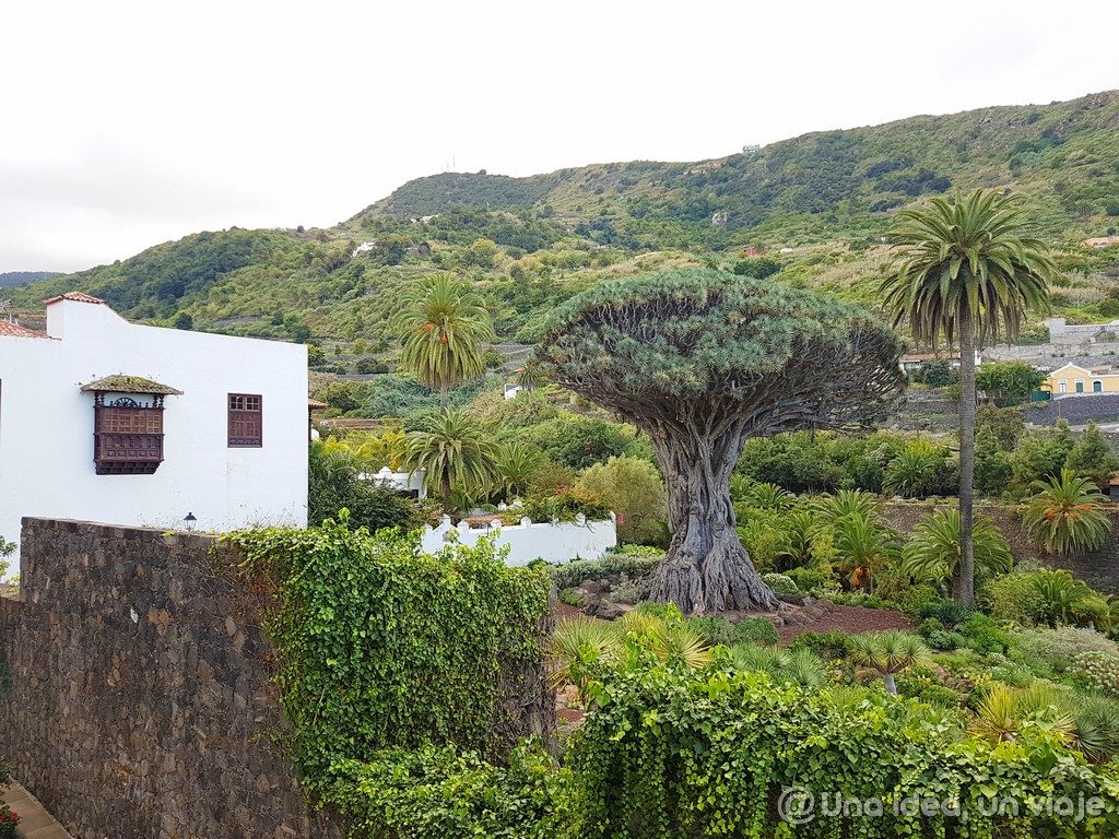 Que ver en Tenerife: Icod de los vinos