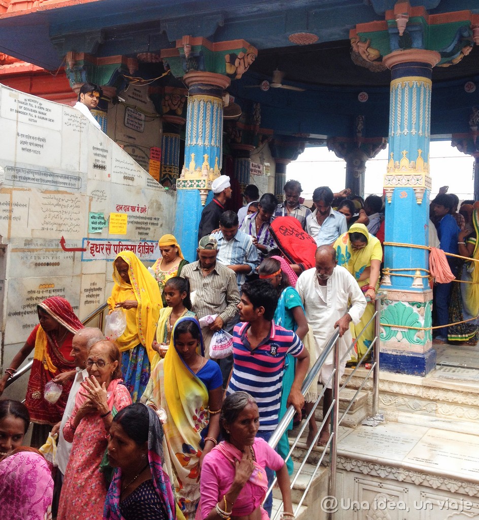 15 días en Rajastan: Que ber en Pushkar