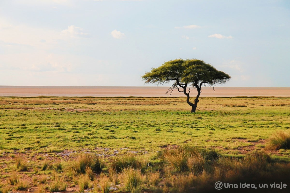 NAMIBIA en 10 días: Consejos y curiosidades