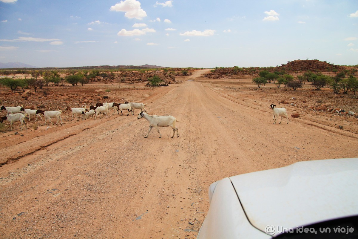 Consejos para viajar a Namibia: alquiler de coche