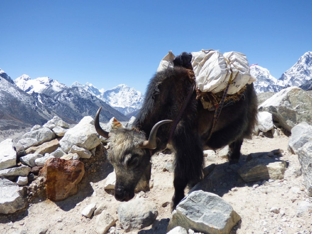 Guía definitiva para el trekking Everest Base Camp (II): La ruta día a día