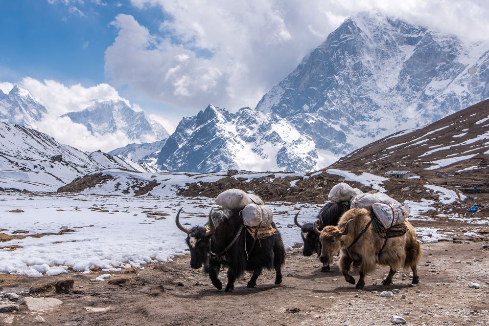 SEGURIDAD: ¿Es seguro hacer el trekking al Everest?