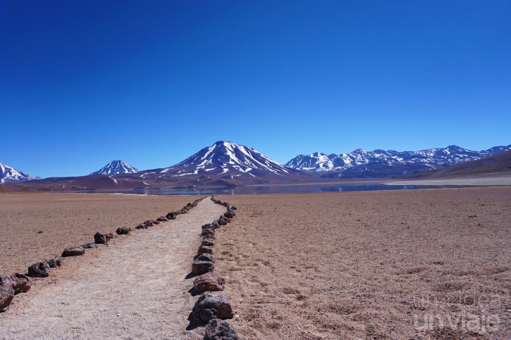 Lagunas altiplánicas, Tours en San Pedro de Atacama