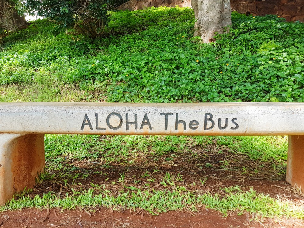 Consejos para viajar a Hawaii: transporte público