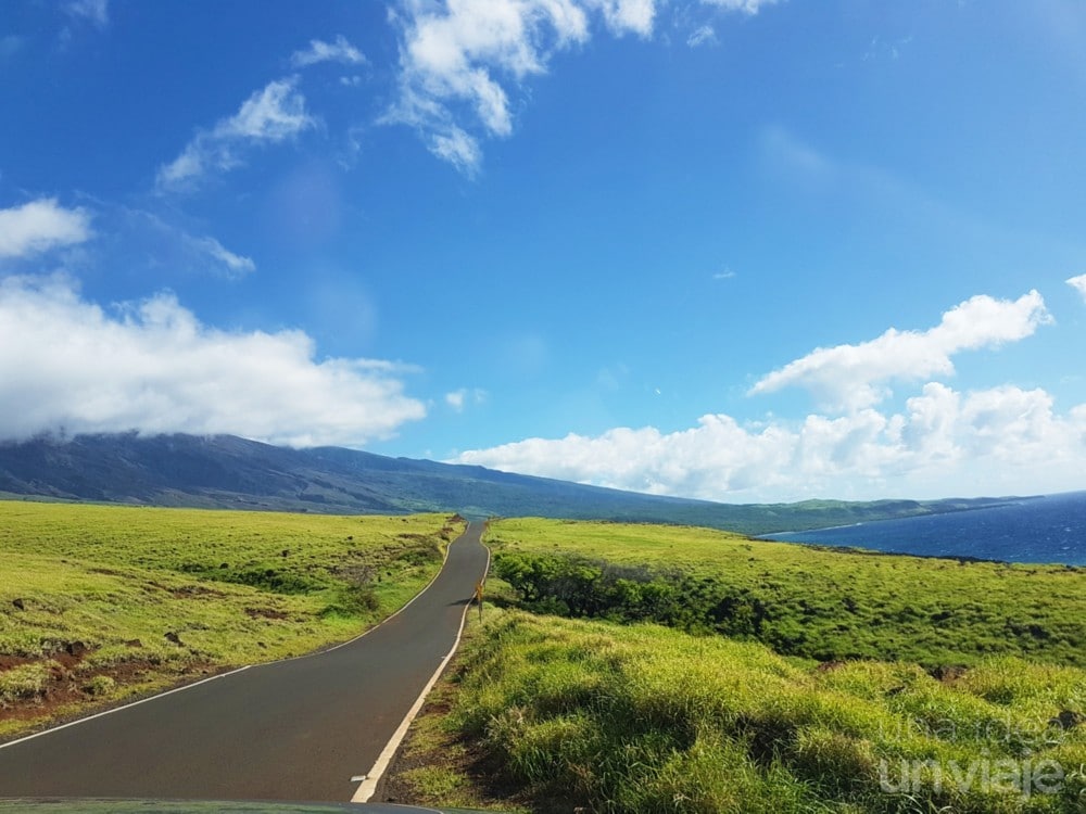Qué hacer en Maui: Road to Hana