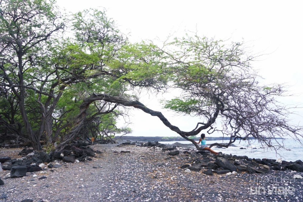 Qué ver en Big Island - Kiholo Bay - Hawaii