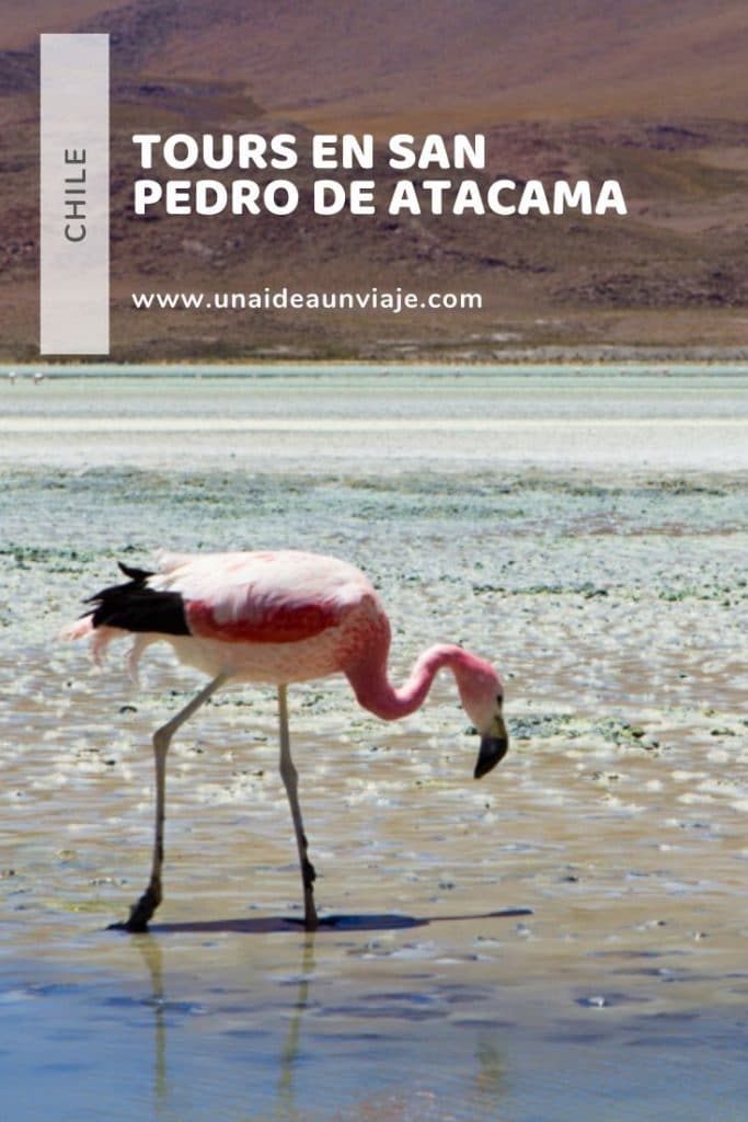 San Pedro de Atacama: Tours y mapa