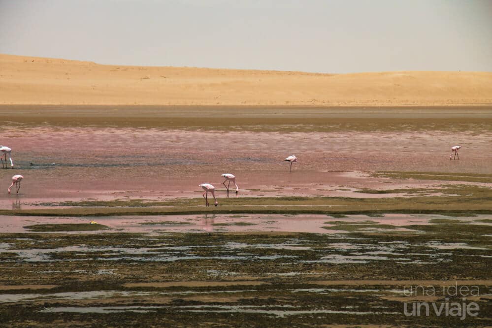 Qué ver en Walvis Bay Namibia
