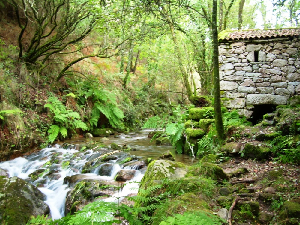 Parques naturales de Galicia: Serra do Xurés