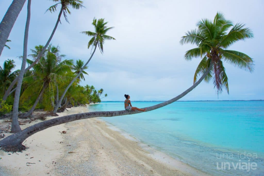 FAKARAVA, atolón para BUCEAR en Polinesia ⭐