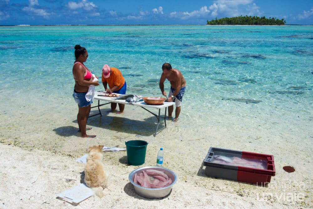 Tikehau, el atolón de los tiburones 🦈