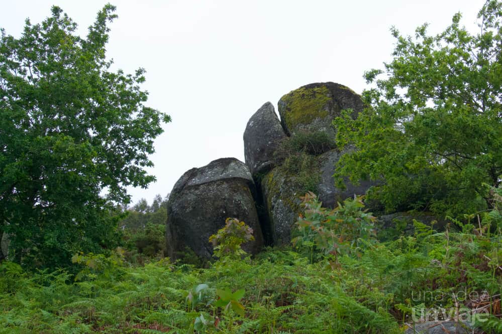 Pedra Faladora, Trazo