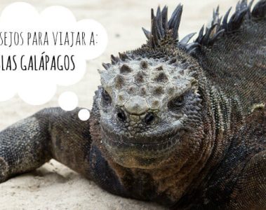 Viajar a Galápagos, consejos y tours