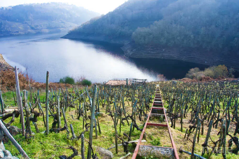 Qué ver en Chantada, la Ribeira Sacra a orillas del Miño ❤️