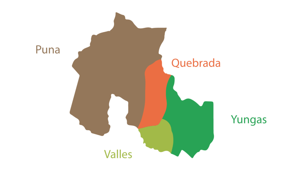 Regiones de Jujuy