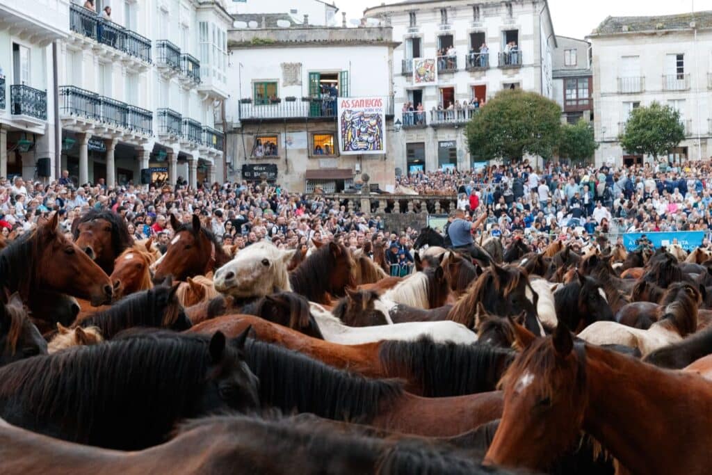 as-san-lucas-de-mondonedo-fiestas-de-galicia-8