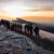 Qué hacer en el Kilimanjaro: rutas, safaris y experiencias imprescindibles en Tanzania